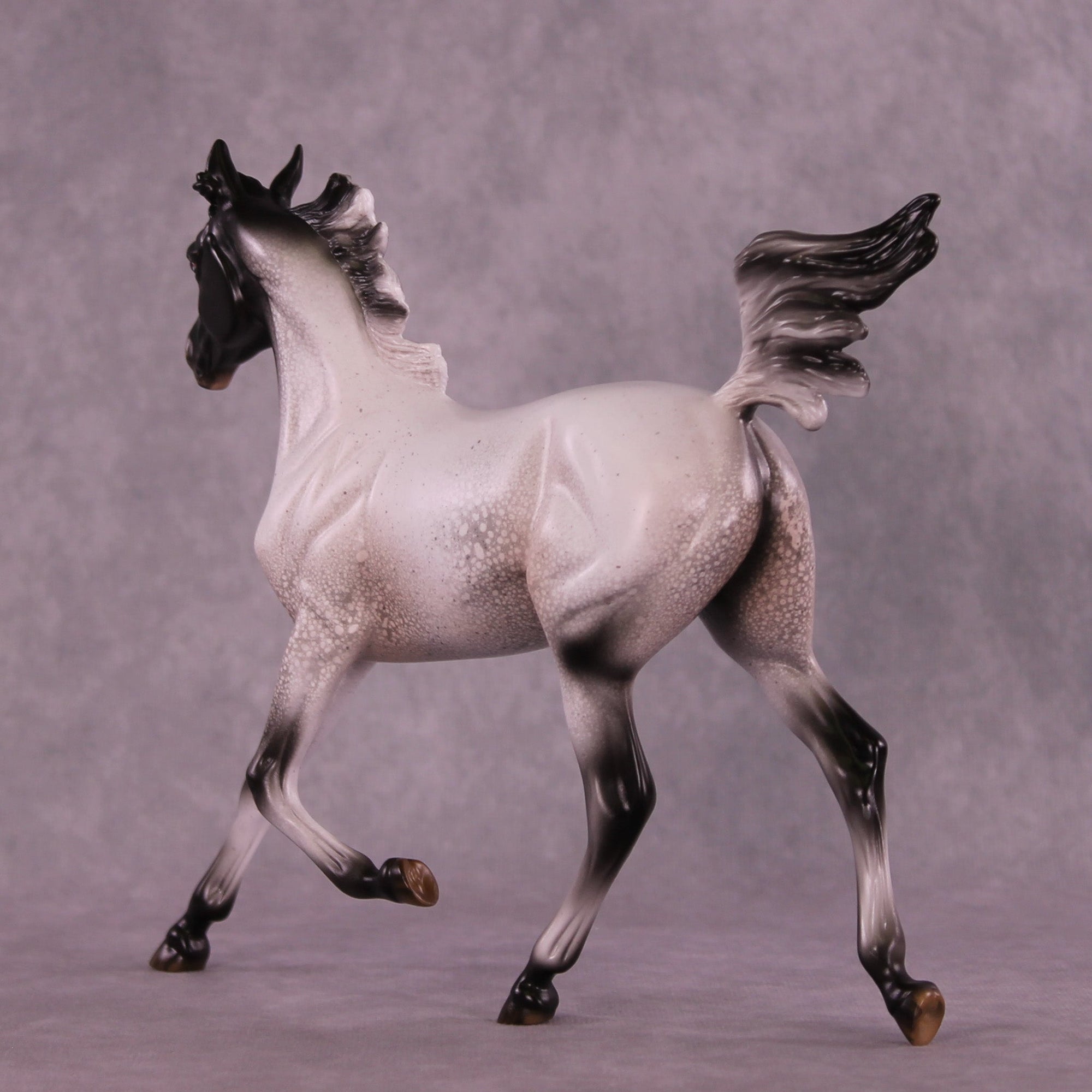Pepper Stepper OOAK Arabian Yearling by Jess Hamill MM25 Group B