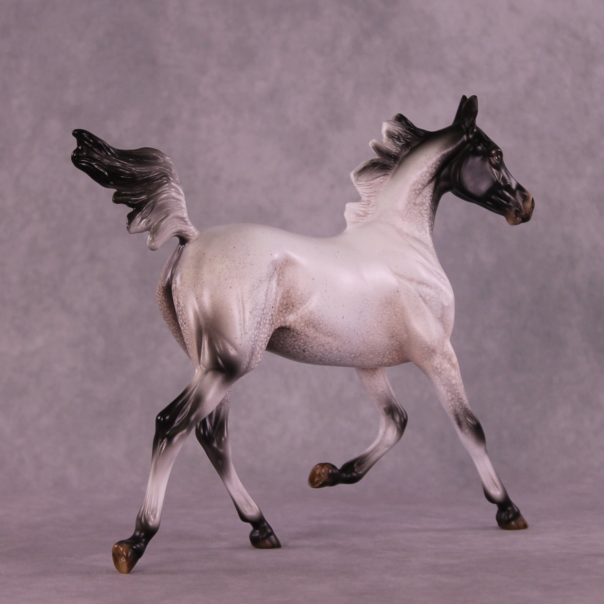 Pepper Stepper OOAK Arabian Yearling by Jess Hamill MM25 Group B