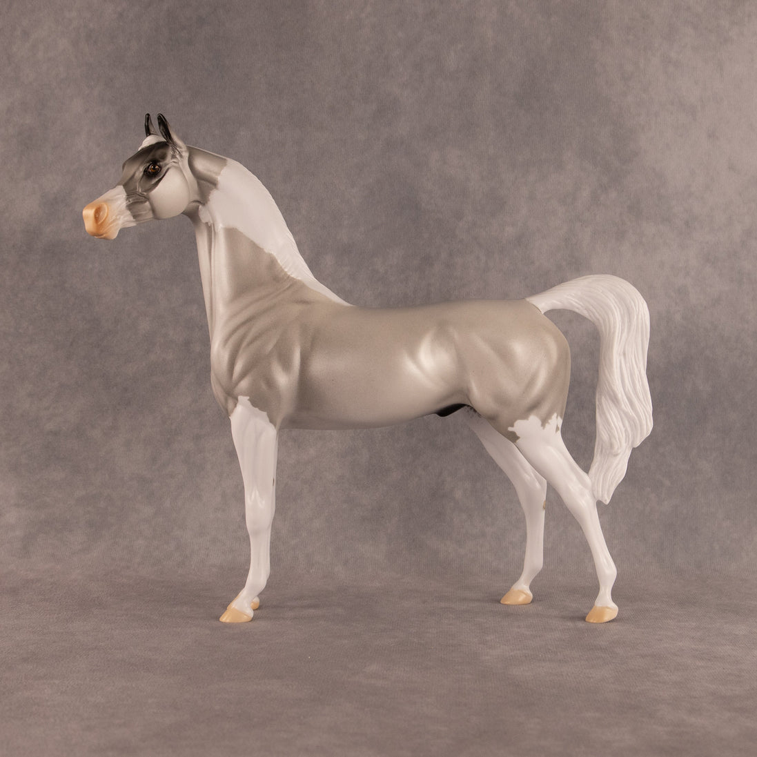 Percival OOAK Arabian Stallion by Alex Fortman EQ26