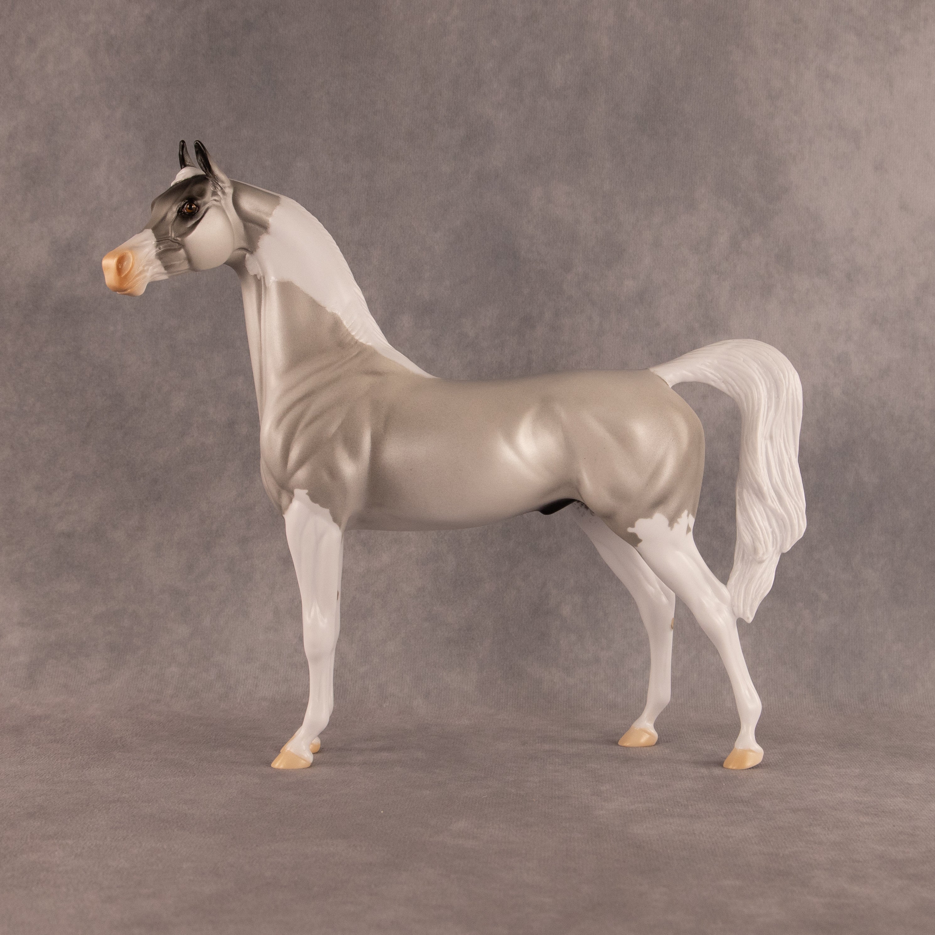 Percival OOAK Arabian Stallion by Alex Fortman EQ26