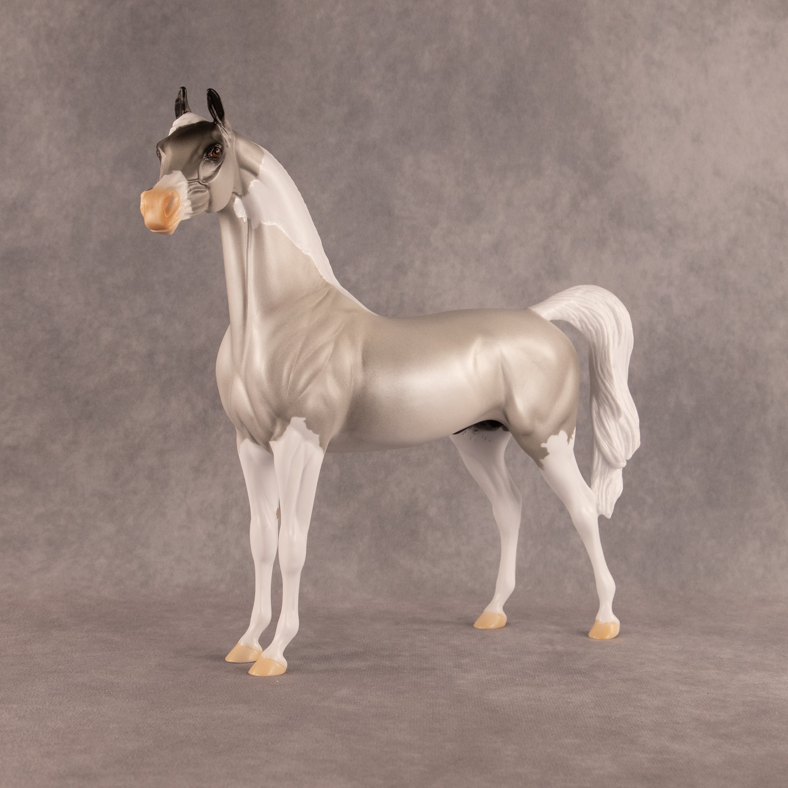 Percival OOAK Arabian Stallion by Alex Fortman EQ26