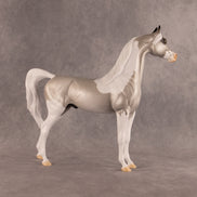 Percival OOAK Arabian Stallion by Alex Fortman EQ26