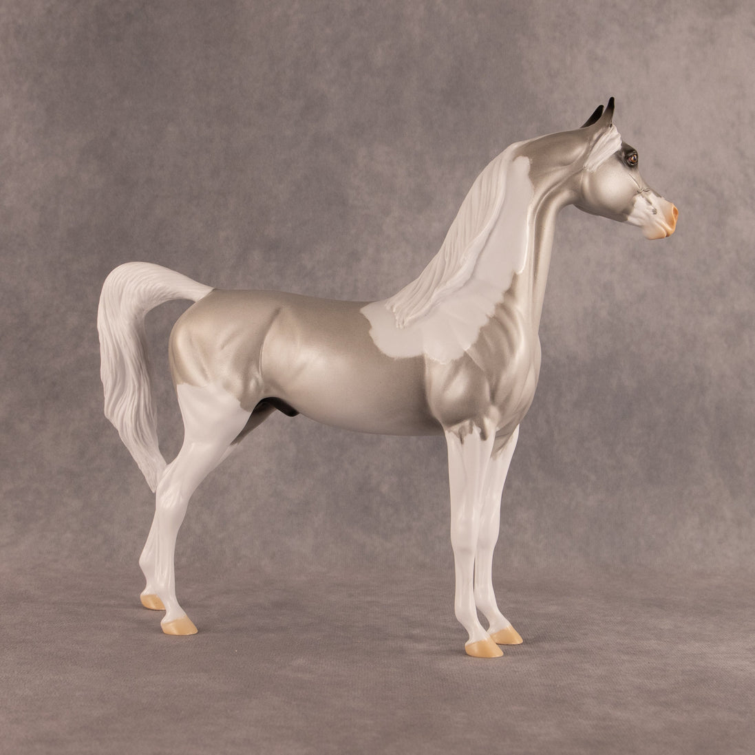 Percival OOAK Arabian Stallion by Alex Fortman EQ26