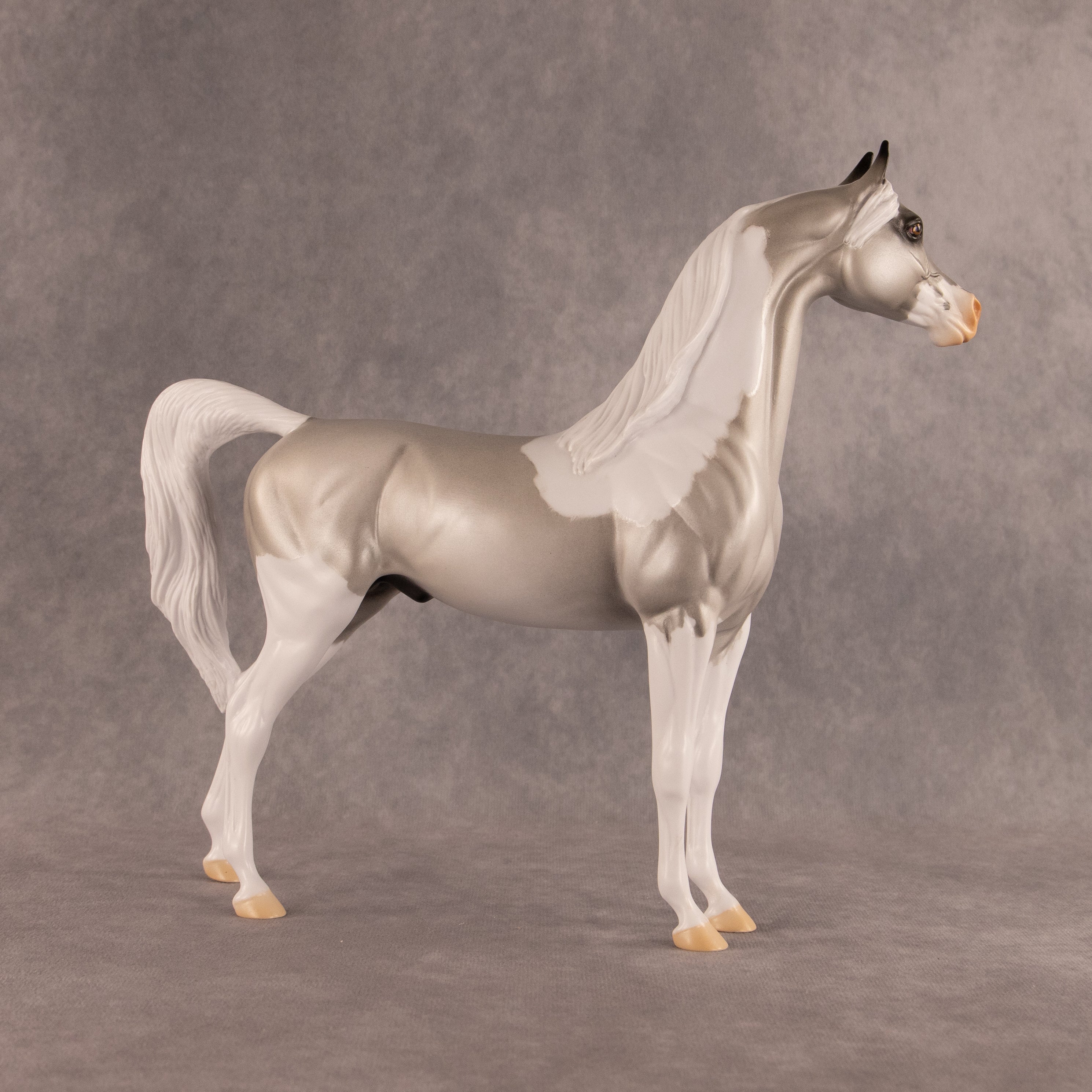 Percival OOAK Arabian Stallion by Alex Fortman EQ26
