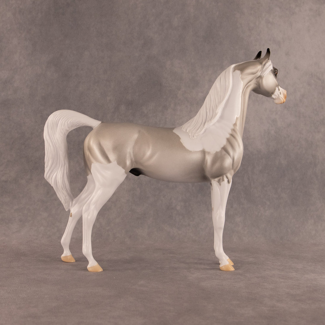 Percival OOAK Arabian Stallion by Alex Fortman EQ26