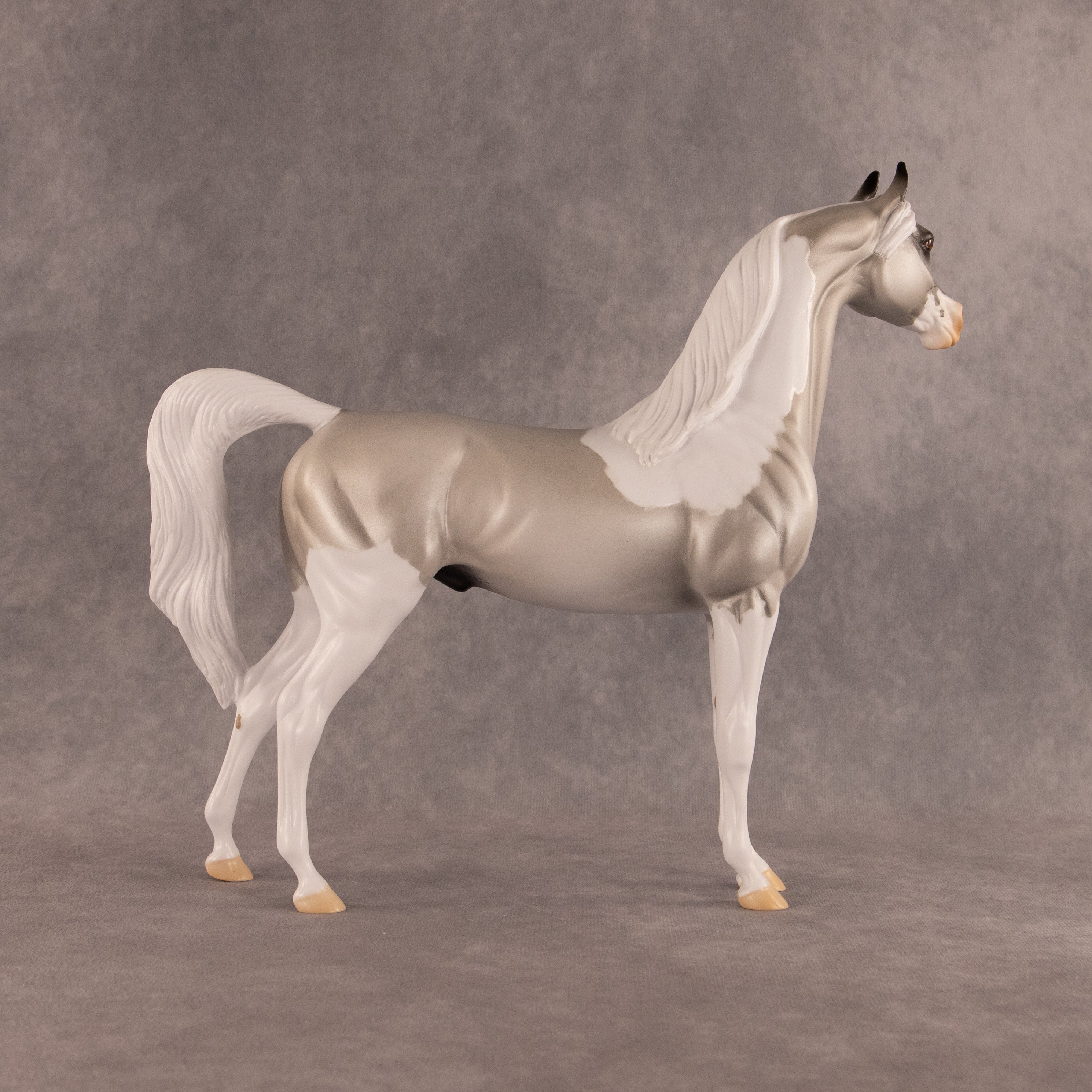 Percival OOAK Arabian Stallion by Alex Fortman EQ26