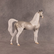 Percival OOAK Arabian Stallion by Alex Fortman EQ26