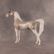 Percival OOAK Arabian Stallion by Alex Fortman EQ26