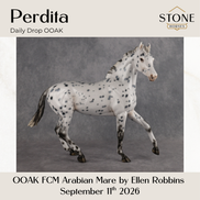 Perdita OOAK FCM Arabian Mare by Ellen Robbins DDOOAKs26