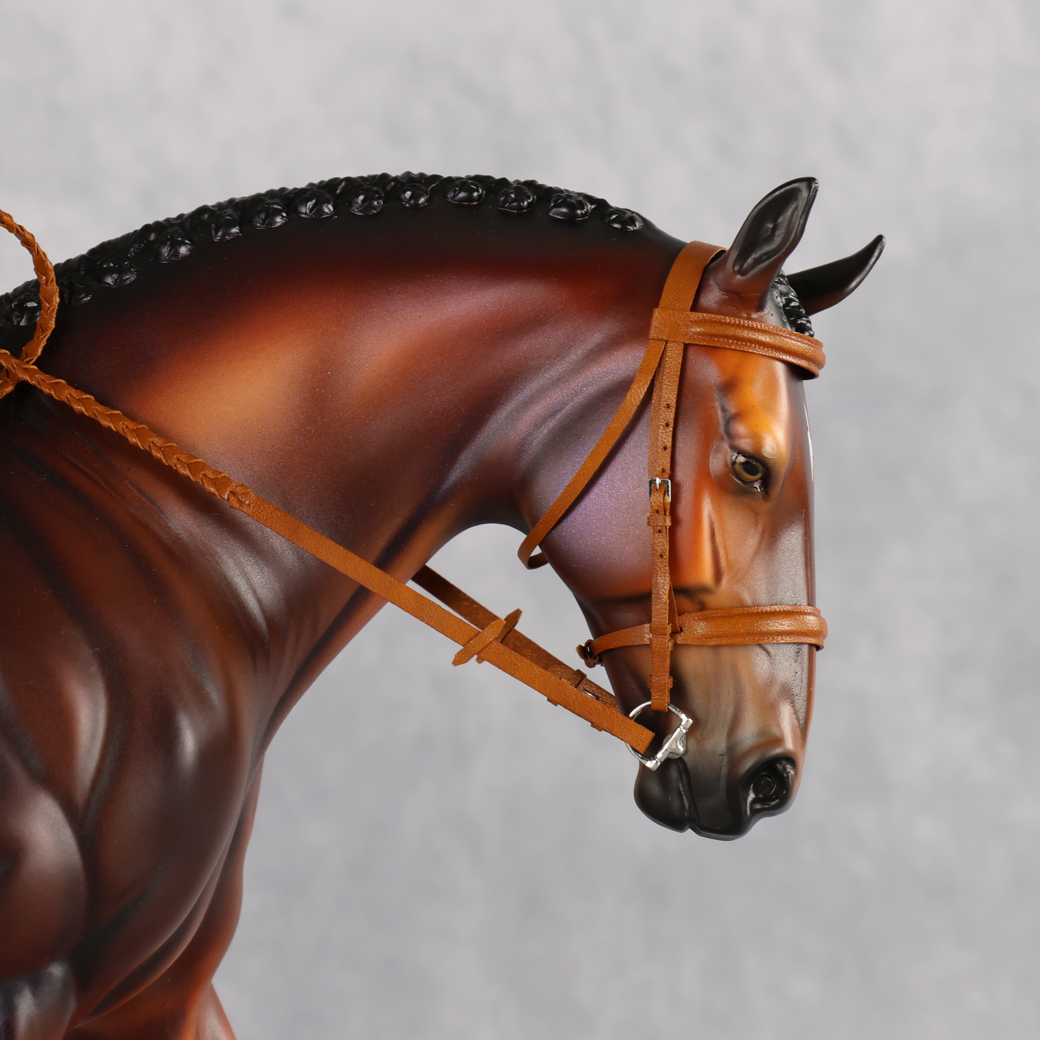 Wellington LE-15 FCM Irish Draught by Anna Rieck PFP26