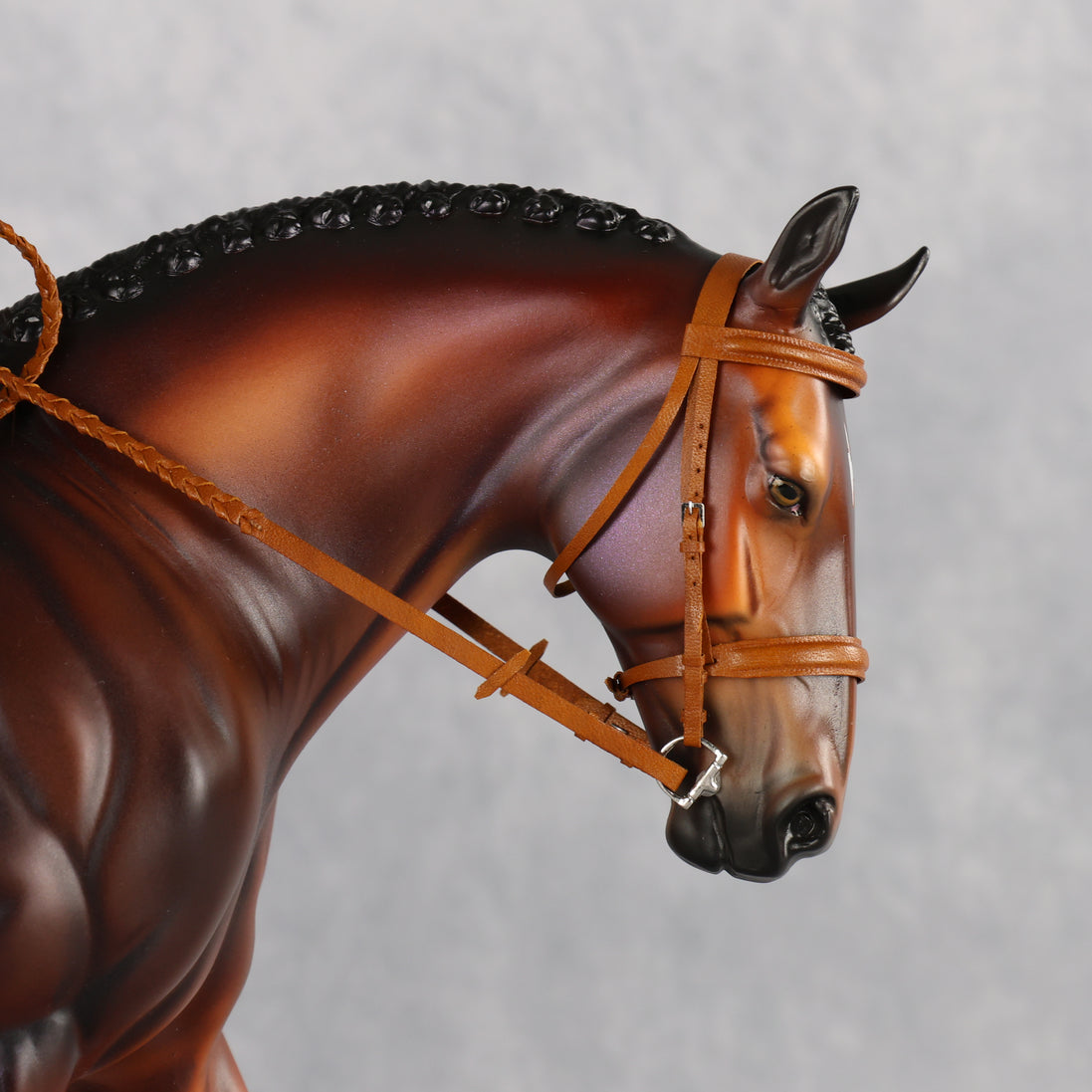 Wellington LE-15 FCM Irish Draught by Anna Rieck PFP26