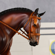 Wellington LE-15 FCM Irish Draught by Anna Rieck PFP26