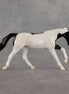 Petoskey OOAK Pebble Stock Horse by Madi Wiseman LHS26