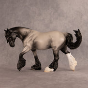 Pirate Joe OOAK FCM Irish Cob by Madi Wiseman EQ26