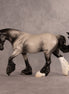 Pirate Joe OOAK FCM Irish Cob by Madi Wiseman EQ26