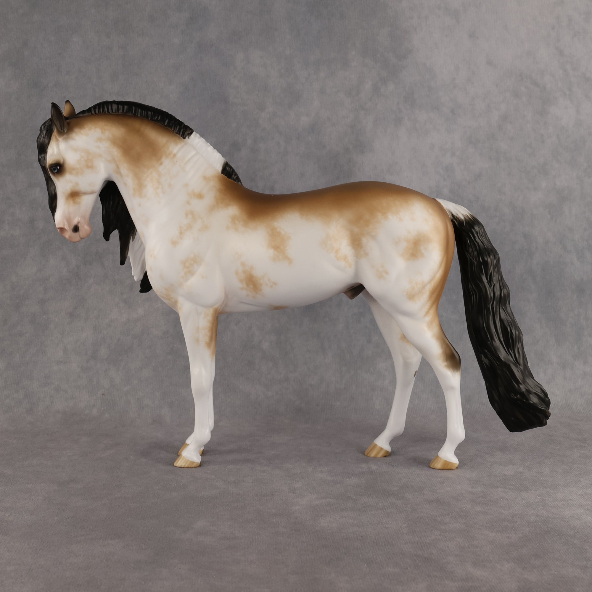 Pirates Cove OOAK FCM Andalusian by Sheryl Leisure Best Offer 8.18.2026
