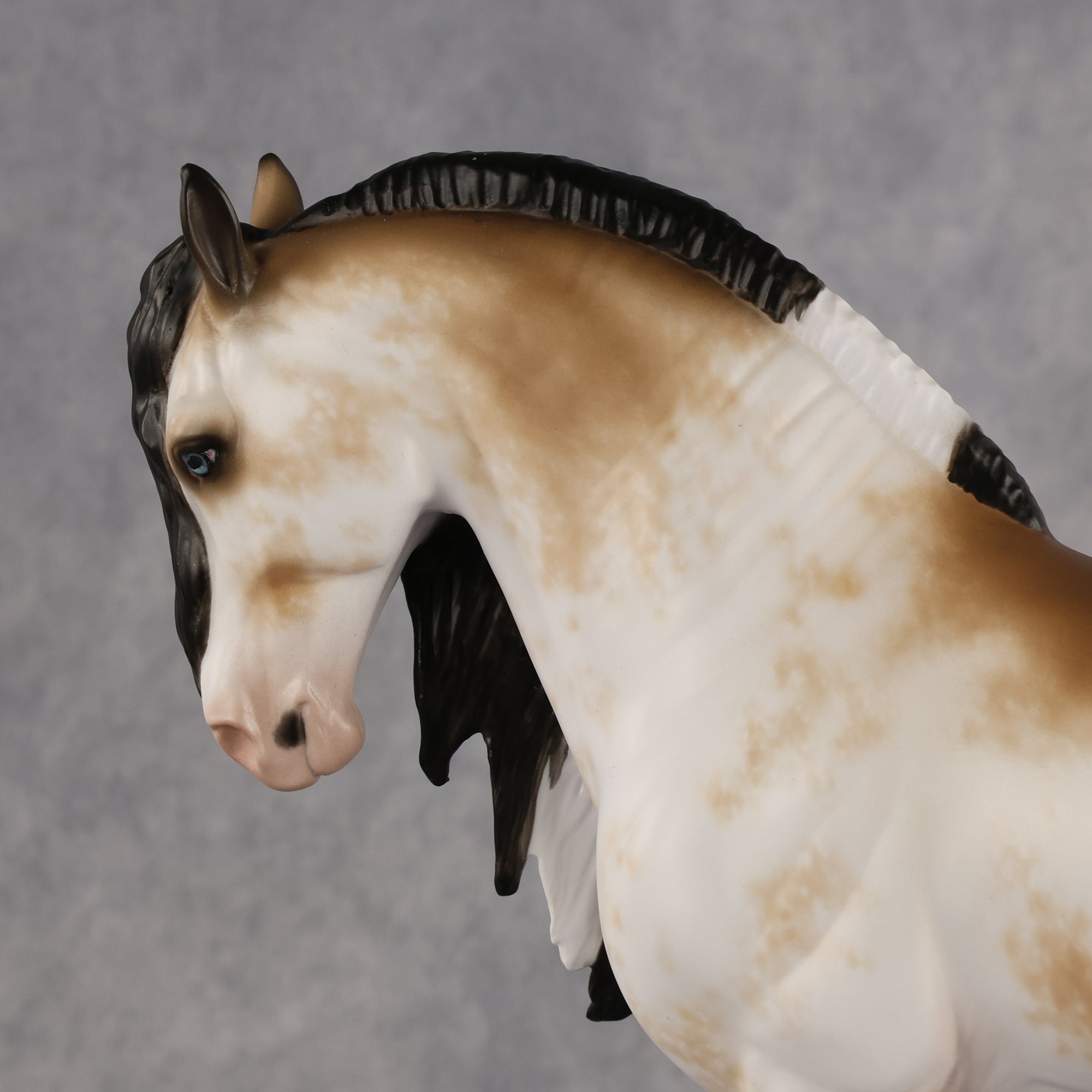 Pirates Cove OOAK FCM Andalusian by Sheryl Leisure Best Offer 8.18.2026