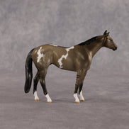 Pity Party OOAK Chip Stock Horse by Anna Rieck LHS26