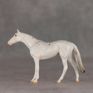 Pocket Lint OOAK Chip Thoroughbred  by Ellen Robbins VV26