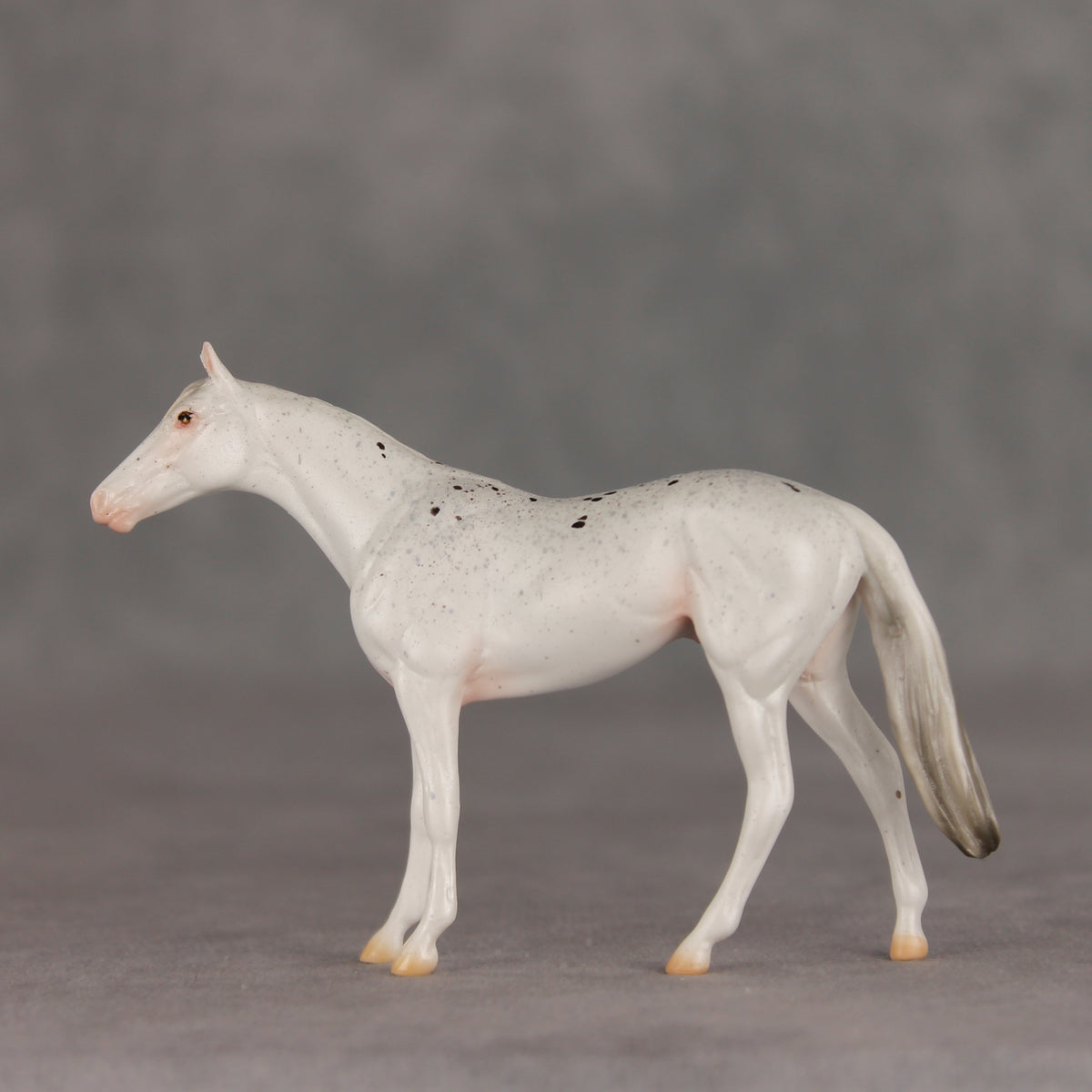Pocket Lint OOAK Chip Thoroughbred  by Ellen Robbins VV26