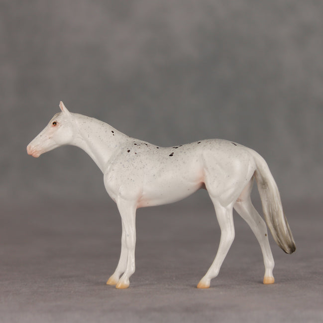 Pocket Lint OOAK Chip Thoroughbred  by Ellen Robbins VV26