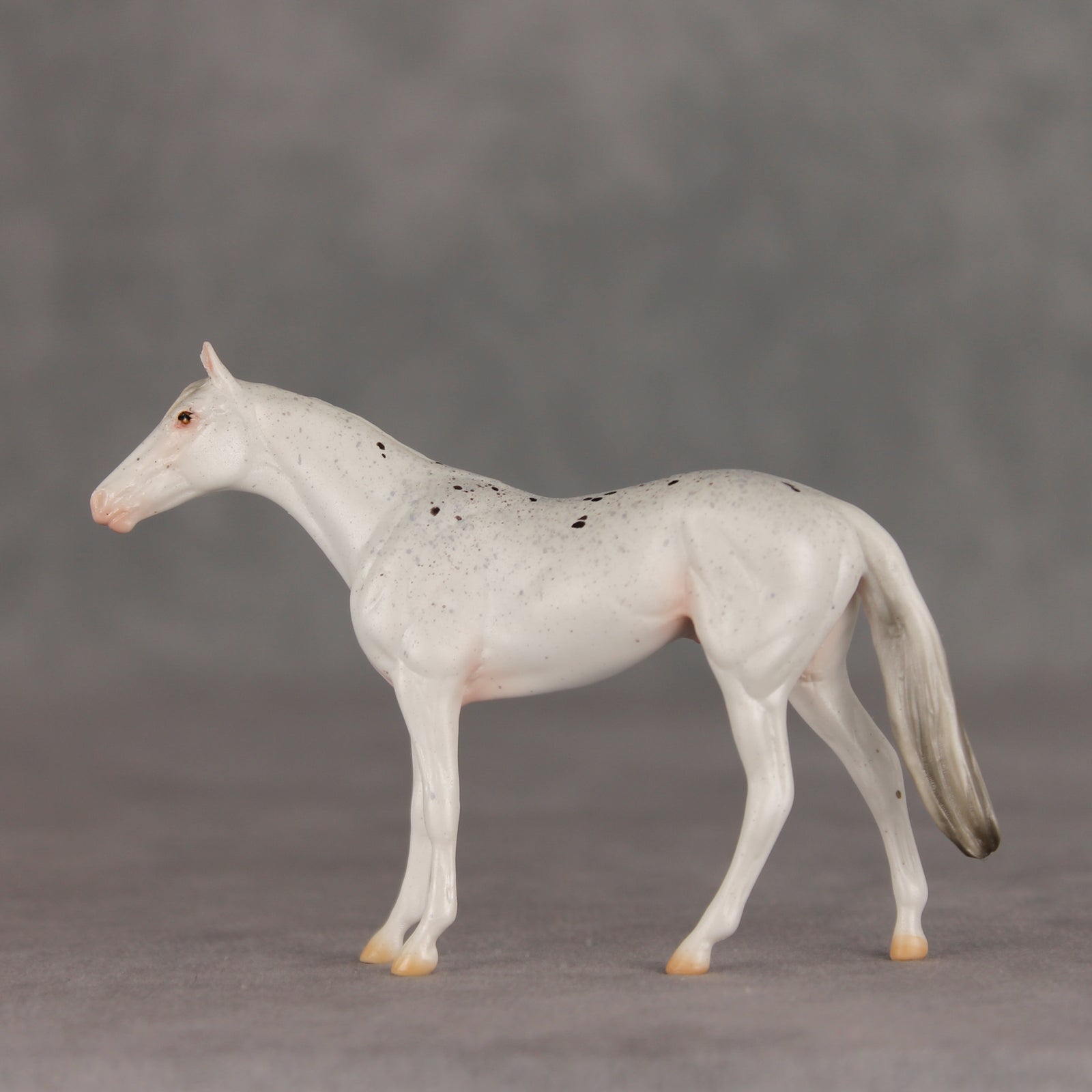 Pocket Lint OOAK Chip Thoroughbred  by Ellen Robbins VV26