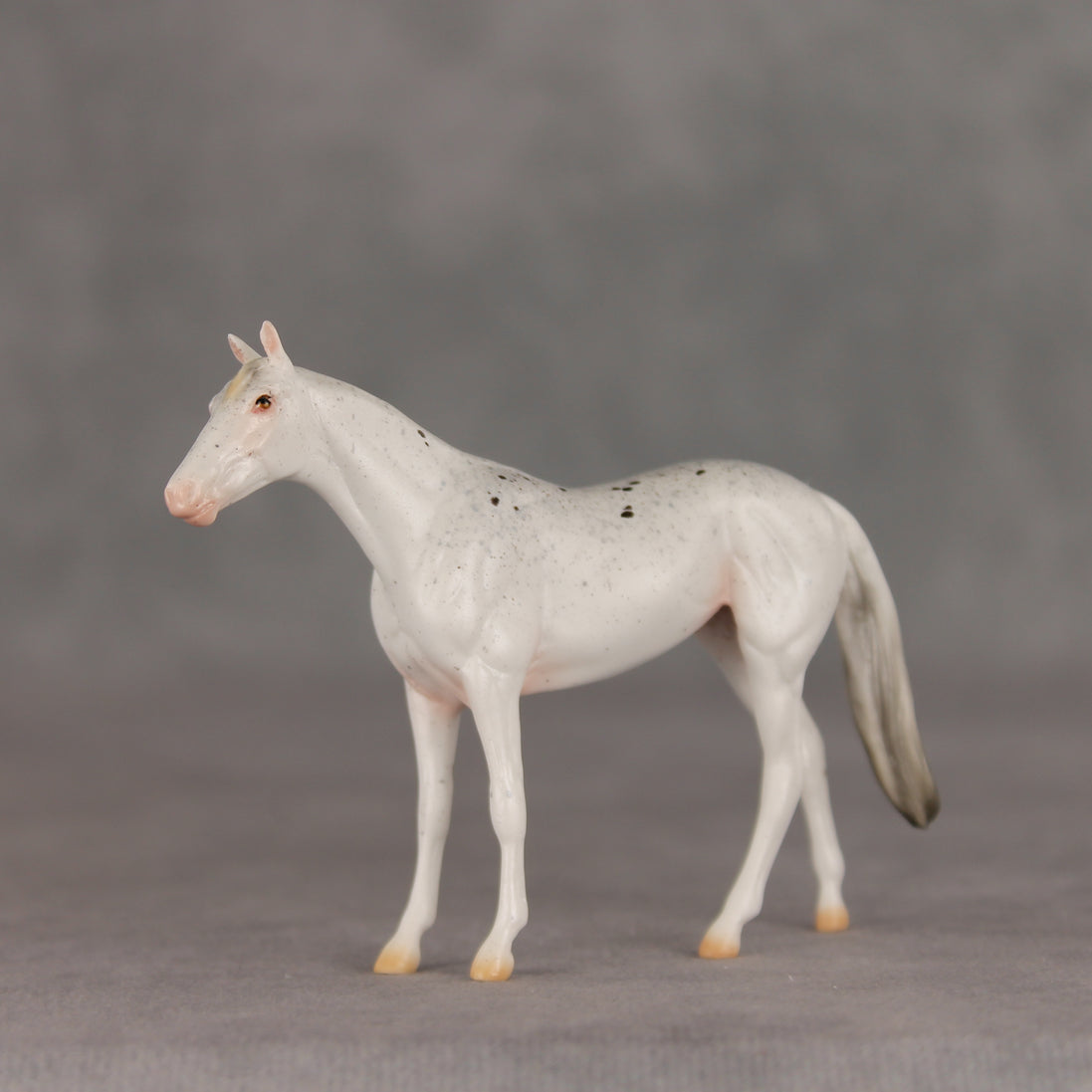 Pocket Lint OOAK Chip Thoroughbred  by Ellen Robbins VV26