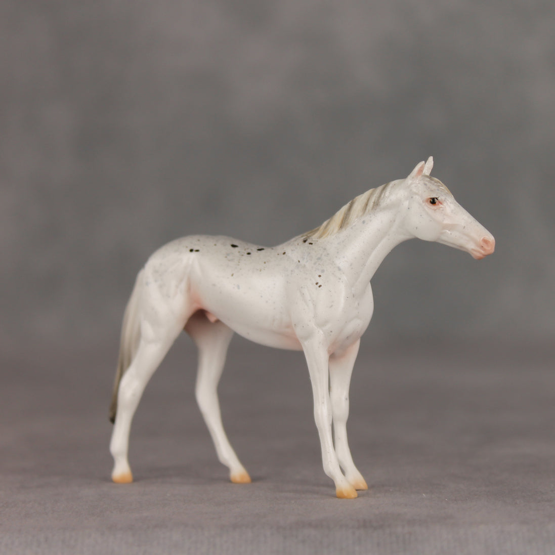 Pocket Lint OOAK Chip Thoroughbred  by Ellen Robbins VV26