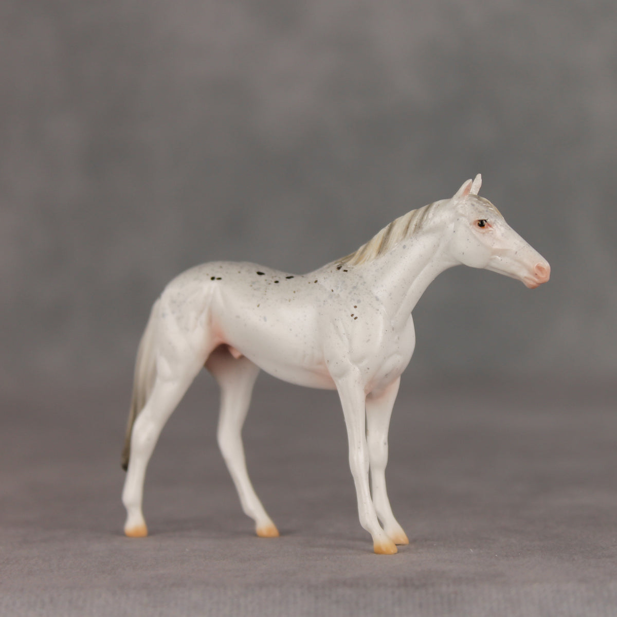 Pocket Lint OOAK Chip Thoroughbred  by Ellen Robbins VV26