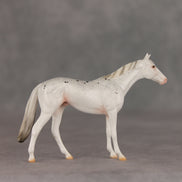Pocket Lint OOAK Chip Thoroughbred  by Ellen Robbins VV26