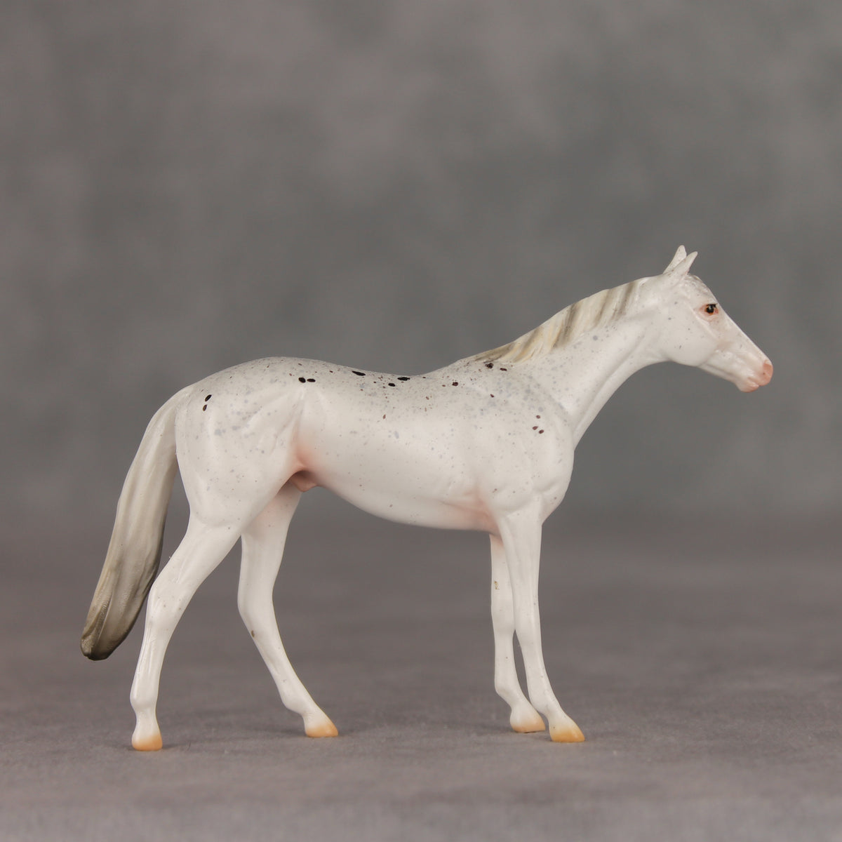 Pocket Lint OOAK Chip Thoroughbred  by Ellen Robbins VV26