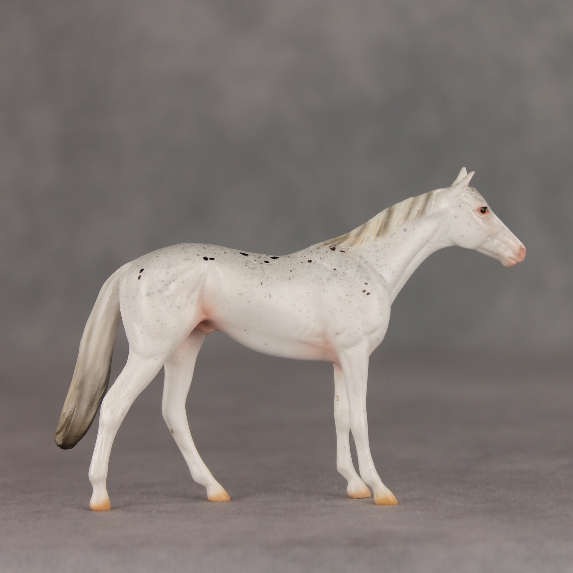 Pocket Lint OOAK Chip Thoroughbred  by Ellen Robbins VV26