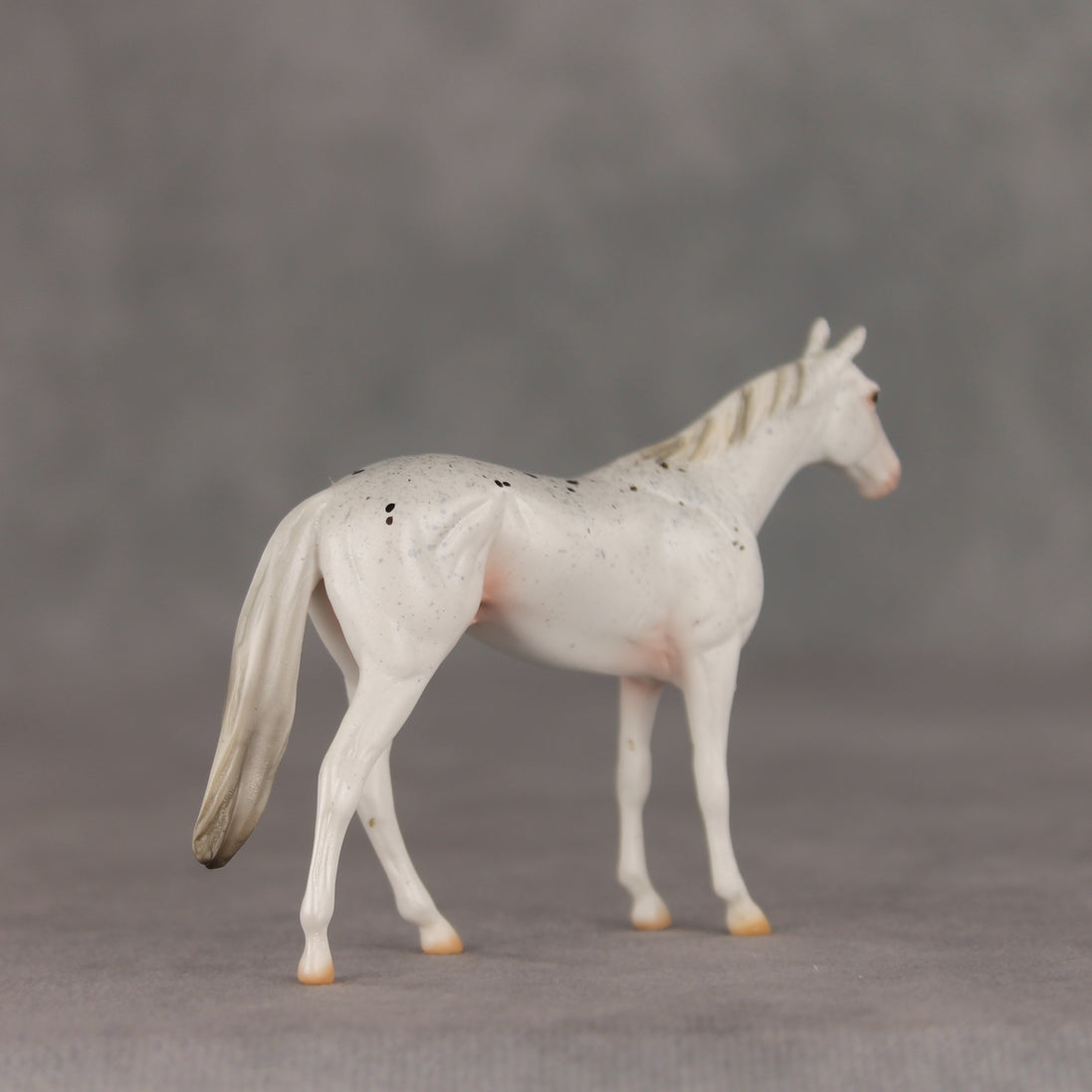 Pocket Lint OOAK Chip Thoroughbred  by Ellen Robbins VV26