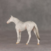 Pocket Lint OOAK Chip Thoroughbred  by Ellen Robbins VV26