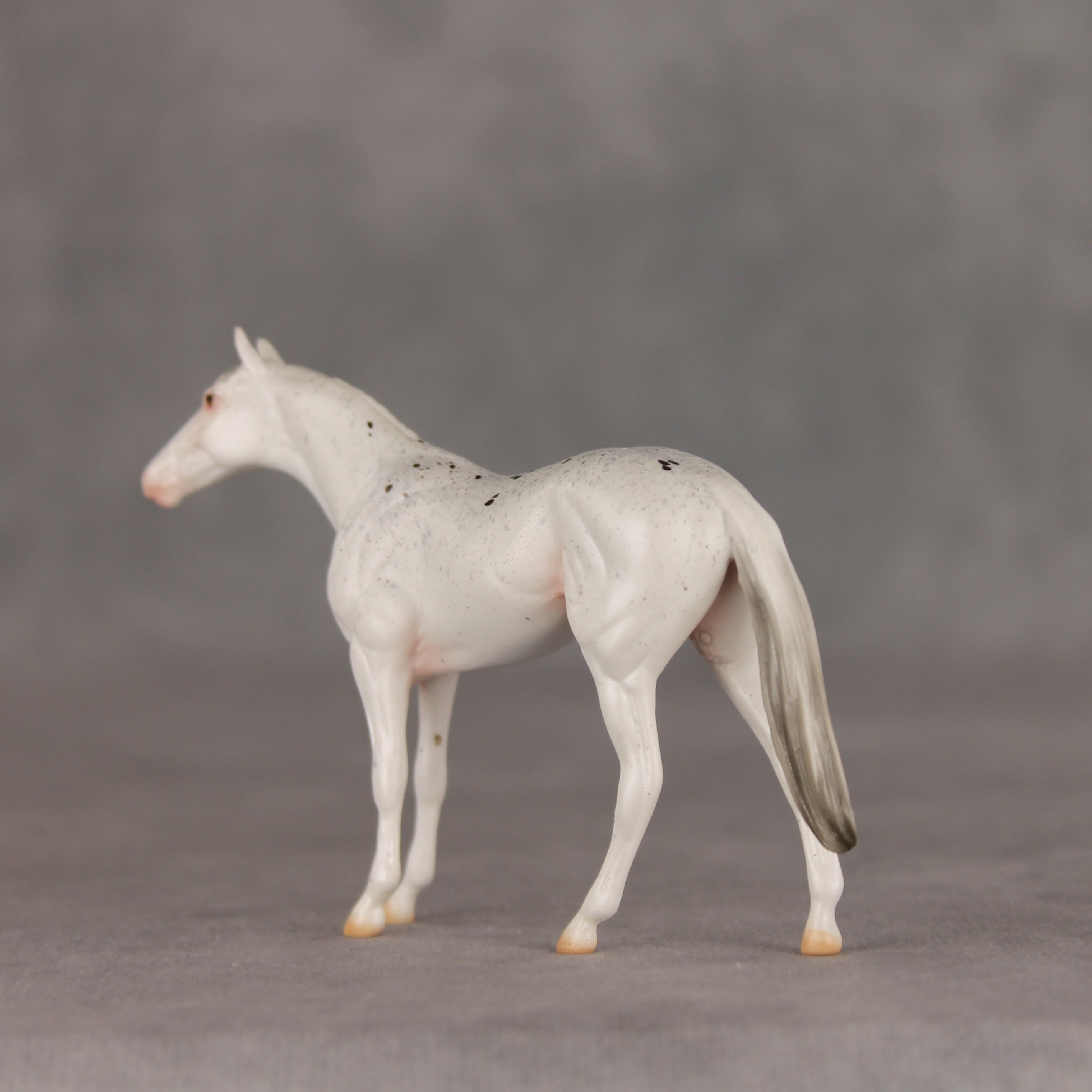 Pocket Lint OOAK Chip Thoroughbred  by Ellen Robbins VV26