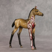 Ponytron 3000 OOAK FCM Arabian Foal by Dawn Quick VV26
