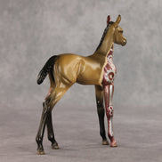 Ponytron 3000 OOAK FCM Arabian Foal by Dawn Quick VV26