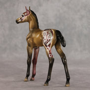 Ponytron 3000 OOAK FCM Arabian Foal by Dawn Quick VV26