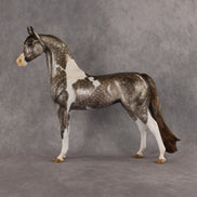 Porte Couleur OOAK EFCM Arabian Stallion by Kristen Cermele GS26