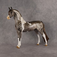 Porte Couleur OOAK EFCM Arabian Stallion by Kristen Cermele GS26