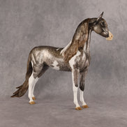 Porte Couleur OOAK EFCM Arabian Stallion by Kristen Cermele GS26