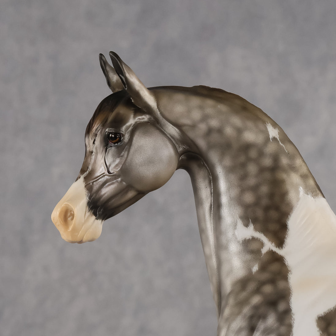 Porte Couleur OOAK EFCM Arabian Stallion by Kristen Cermele GS26