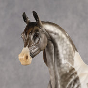 Porte Couleur OOAK EFCM Arabian Stallion by Kristen Cermele GS26