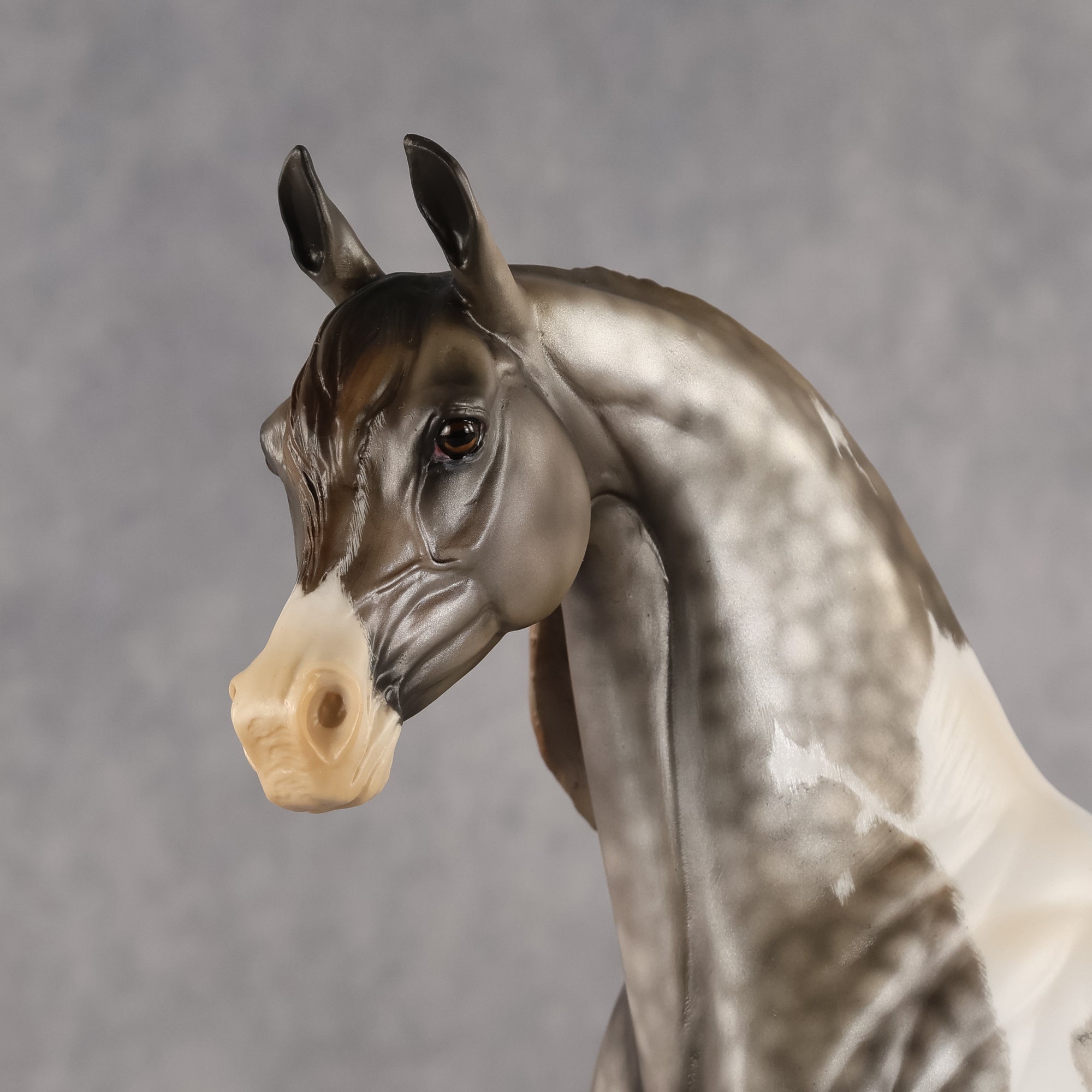 Porte Couleur OOAK EFCM Arabian Stallion by Kristen Cermele GS26