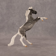Poseidon OOAK Chip Mustang by Anna Rieck EQ26