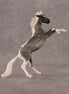 Poseidon OOAK Chip Mustang by Anna Rieck EQ26