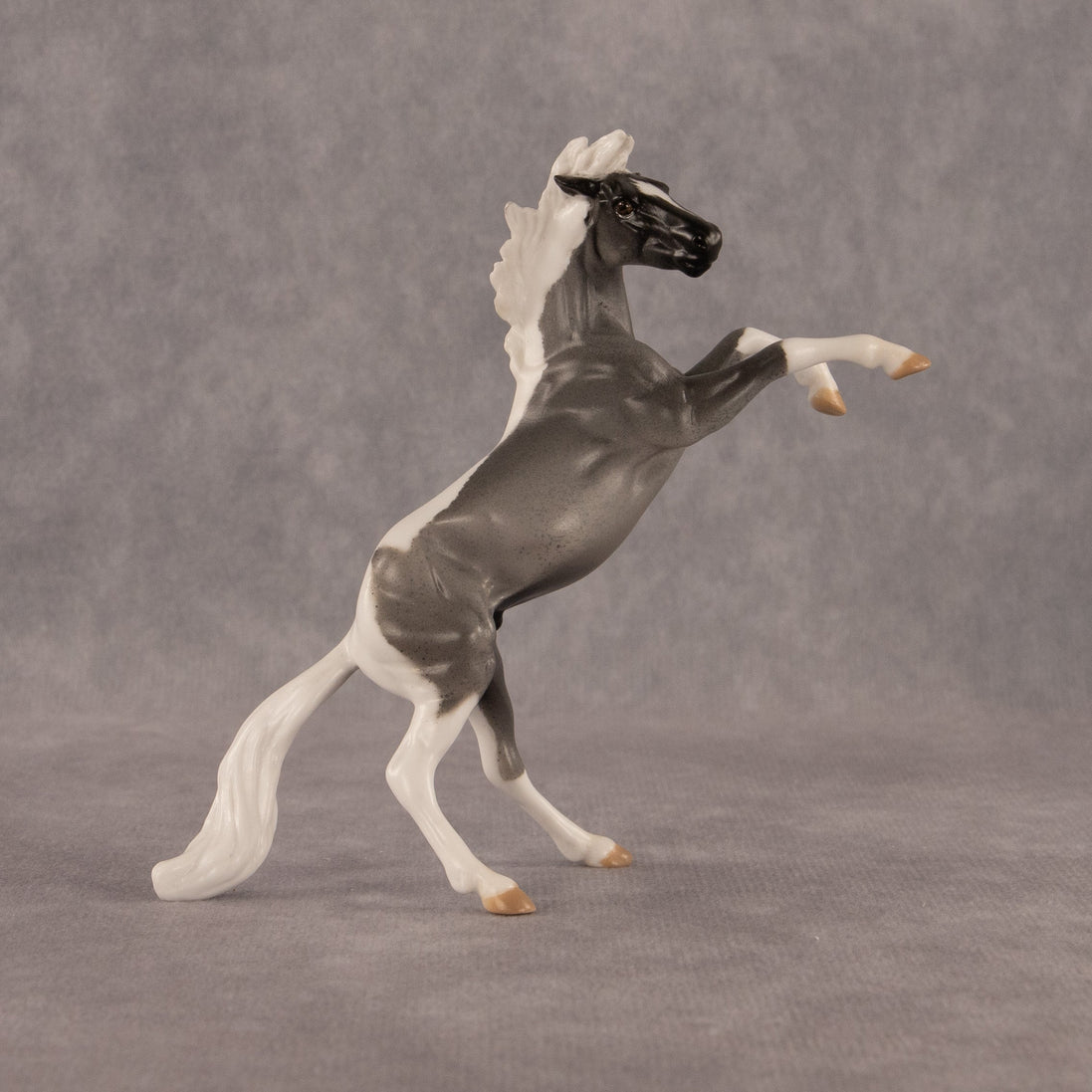 Poseidon OOAK Chip Mustang by Anna Rieck EQ26