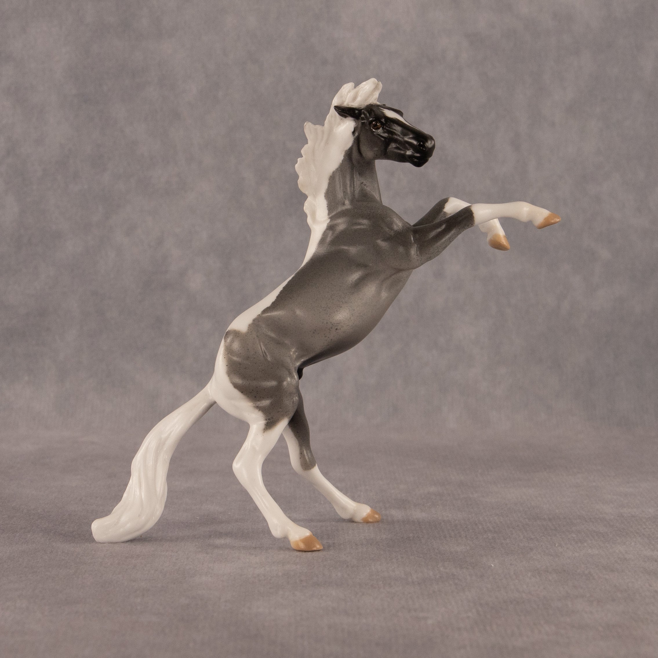 Poseidon OOAK Chip Mustang by Anna Rieck EQ26