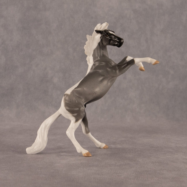 Poseidon OOAK Chip Mustang by Anna Rieck EQ26