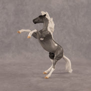 Poseidon OOAK Chip Mustang by Anna Rieck EQ26